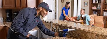 Best Pest Prevention Services  in Dunlap, OH